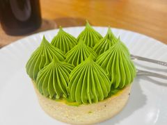 抹茶挞-猫里有甜