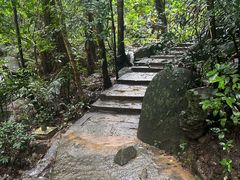 -七仙岭温泉国家森林公园