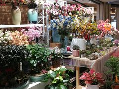 -金鹰超市(国际购物中心新街口店)