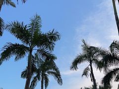 -珍宝海鲜(东海岸海鲜中心)