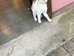 -大韩民国临时政府旧址