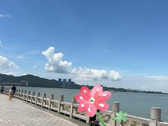 -野狸岛