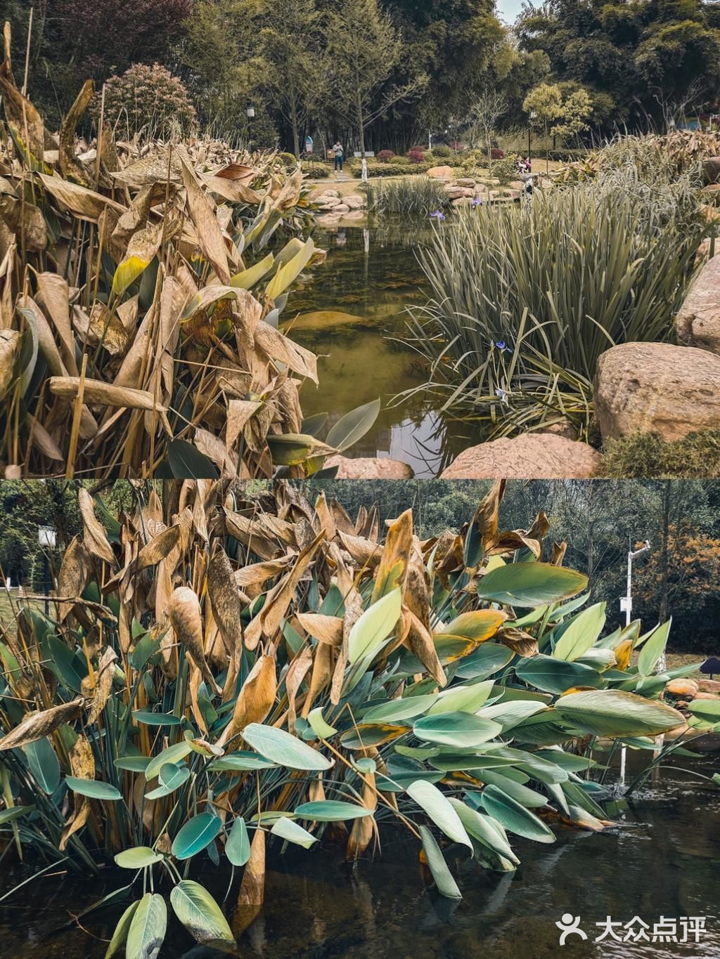 🌸春暖花开·游园怀旧，铭记历史