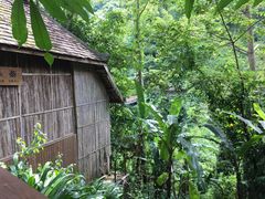 -西双版纳原始森林公园