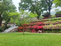 -红螺寺