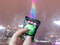 -珠江夜游省总码头