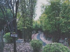 -崇阳三特浪口温泉