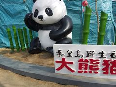 -秦皇岛野生动物园