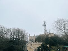 -紫金山山顶公园