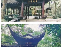 -上海佘山国家森林公园天马山园