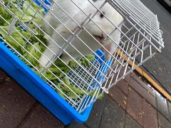 -大象厨房(重庆道店)