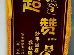 -瑞派申生动物医院·24H夜诊·国际动物医疗中心·骨外科(吴中路店)
