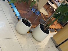 -阳阳中国饭(龙湖大兴天街)