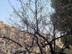 -易生活购物公园