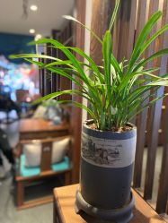 -爱儿美儿童摄影(五路居花园别墅店)