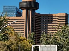 -三里屯东五街银杏大道