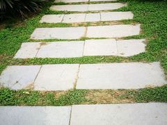 -咸阳湖景区-古渡公园