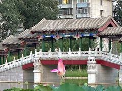 -西海子公园