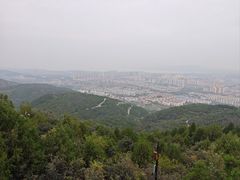 -府君山公园