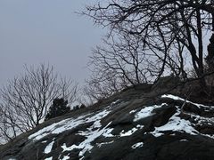 -北京西山国家森林公园