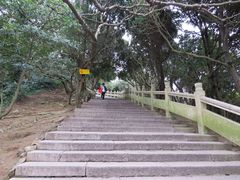 -普陀山风景名胜区-法雨禅寺