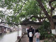 -乌镇东栅景区