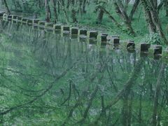 -西溪南古村落景区