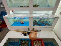 -金砂阿洲鱼册店