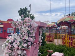 -青岛方特梦幻王国