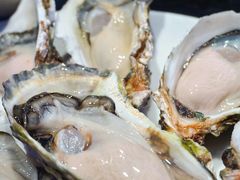 -千岛蚝高压锅生蚝·人参火锅(白云万达店)