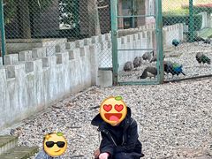 -南京金牛湖风景区