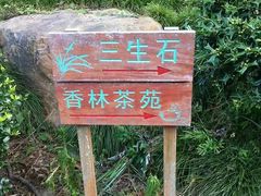 -杭州西湖风景名胜区-三生石