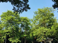 景点-惠州西湖