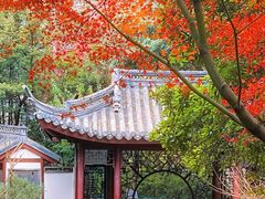 -汇龙潭
