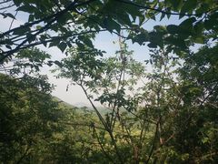 -杭州半山国家森林公园