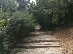 -北京鹫峰国家森林公园