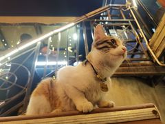 -后海16号·北京私房菜