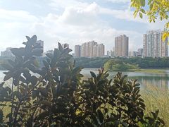 -南宁南湖公园