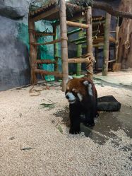 -Zoolung Zoolung动物主题公园(海信广场店)