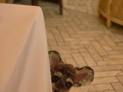 -casamosaico卡萨马可意大利餐厅