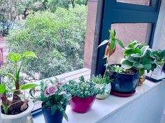 -新达口腔(华东理工大学店)