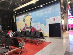 -谢列梅捷沃国际机场