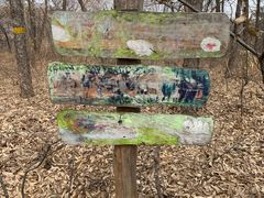 -北京西山国家森林公园