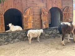 -HERRE·FARM 赫尔露营农场·团建聚会包场