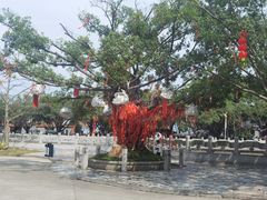 -南沙天后宫景区