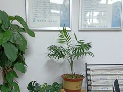 -惠耳听力助听器(赣榆东关路店)