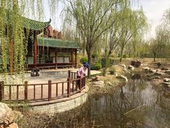 -武清南湖绿博园