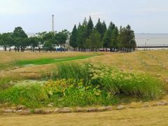 -滆湖低碳生态公园
