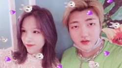 点击看大图 -金棕榈