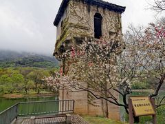 -紫霞湖公园